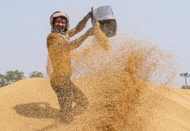 Govt raises wheat MSP by 6.59 pc to Rs 2,585 per quintal for 2026-27
